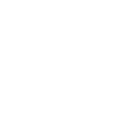 IIR Logo Globe